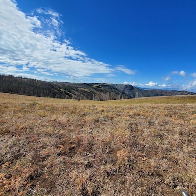 00 Cuddy Mountain Mineral Land, Cambridge, ID 83610 - photo 3
