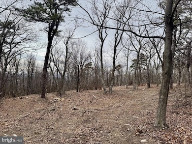 LOT 153 Bobcat Trail, Winchester, VA 22602 - photo 2