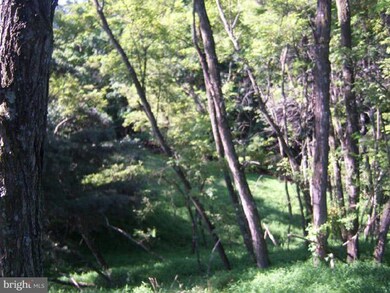 0 Magnolia Rd unit 1001180023, Great Cacapon, WV 25422 - photo 3