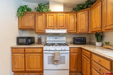 1300 Green Shadows Rd, Durango, CO 81303 - photo 7