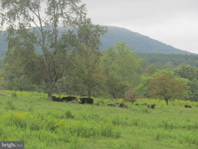 0 Lizzie Mills Rd, Castleton, VA 22716 - photo 4