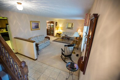 Entry to Living Room