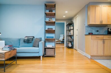 96 Saint Paul St unit A1, Brookline, MA 02446 - photo 3