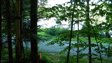 618 Covered Bridge Dr, Palmyra Township, PA 18428 - photo 5