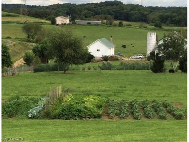 Large Garden Area