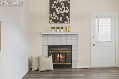 6535 Matchless Trail, Colorado Springs, CO 80911 - photo 7