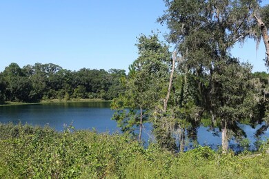 0 Malauka Loop unit MFROM664646, Ocklawaha, FL 32179 - photo 2