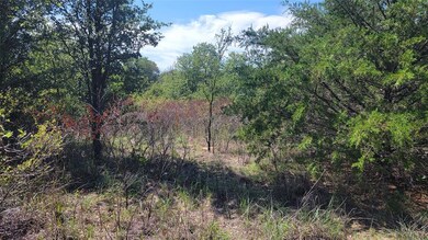 TBD Lot 8 Phillips Dr, Azle, TX 76020 - photo 3