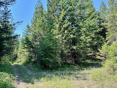 Nhn McMannamy Draw, Kalispell, MT 59901 - photo 3