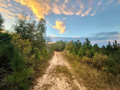 2427 B Wire Rd, Aiken, SC 29805 - photo 3