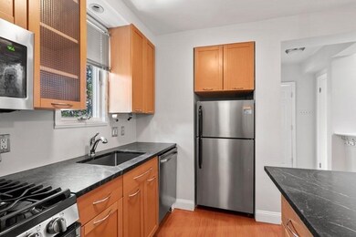 33 E Springfield St unit 3, Boston, MA 02118 - photo 4