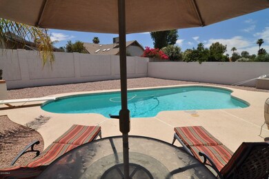 4 Pool and Yard