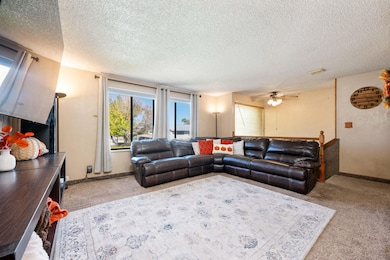 5-web-or-mls-1137 Brook St Cedar City (5