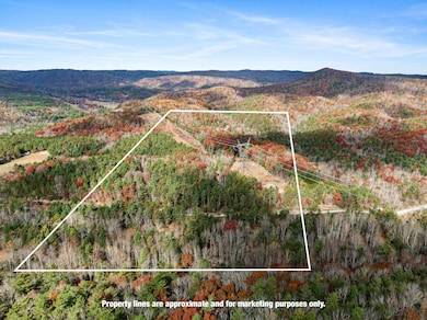 TBD Millers Creek Rd, Max Meadows, VA 24360 - photo 2