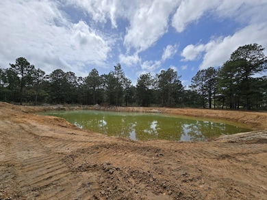 1 acre pond! 966 Tiger Loop Pond