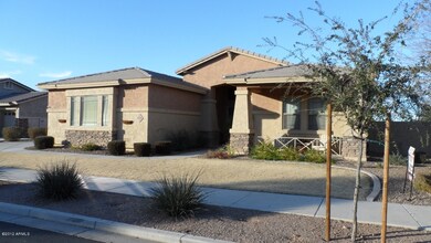 Front alt view