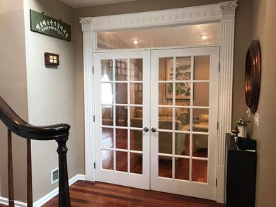 LIVING ROMM FRENCH DOOR