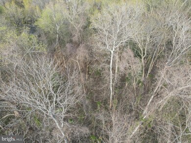 60 American Dr, Montross, VA 22520 - photo 6