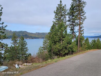 NNA Dusk, Harrison, ID 83833 - photo 6