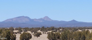 223 N Picacho Butte Dr, Ash Fork, AZ 86320 - photo 2