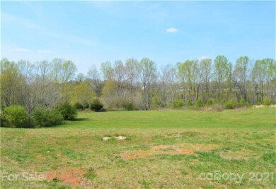 1376 Maple Lee Ct, Crouse, NC 28033 - photo 4