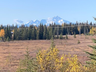 IMG_1678