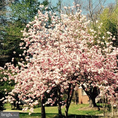 3300 Patrick Henry Dr, Falls Church, VA 22044 - photo 3