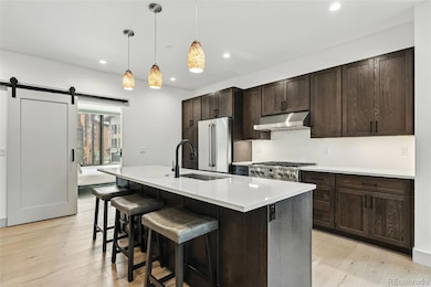 66 E 6th St, Silverthorne, CO 80498 - photo 6