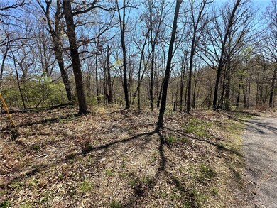 0 Diss Ln, Bella Vista, AR 72715 - photo 4