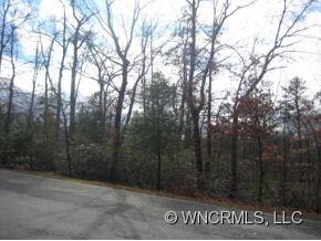 Another View of the Lot