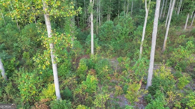 LT 272 Highgrove Dr, Talking Rock, GA 30175 - photo 4