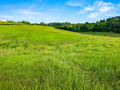 Tract 2 Shinbone Rd, Russellville, TN 37860 - photo 4