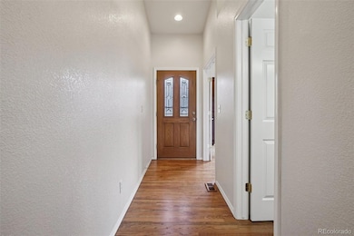 14318 Peaceful Glen Grove, Colorado Springs, CO 80921 - photo 5