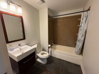 650 W Wayman St unit 406, Chicago, IL 60661 - photo 7