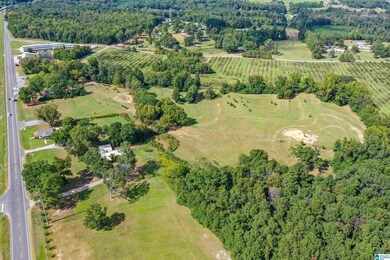 22248 U S Highway 31 unit 1, Thorsby, AL 35171 - photo 4