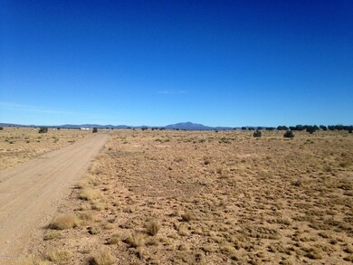 10 Off of Tanner Rd, Ash Fork, AZ 86320 - photo 3