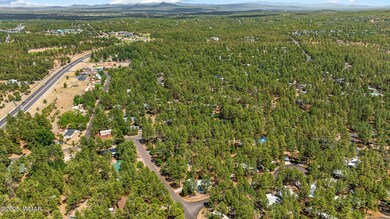 651 S 25th Ave, Show Low, AZ 85901 - photo 6