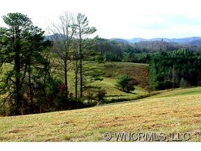 000 Watsell Dr unit 21, Leicester, NC 28748 - photo 2