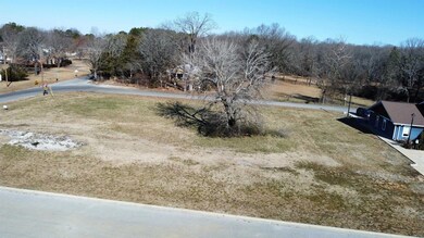 Lot 8 Killian St, Mountain View, AR 72560 - photo 6