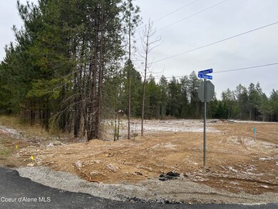 Lot 12 western treeline