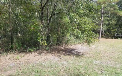 3156 NW Moore Rd, Lake City, FL 32055 - photo 3