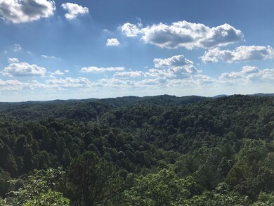 0 S Fork Rd unit 25502721, Stanton, KY 40380 - photo 6