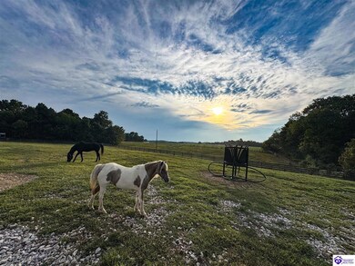 16780 Cub Run Hwy, Cub Run, KY 42729 - photo 3