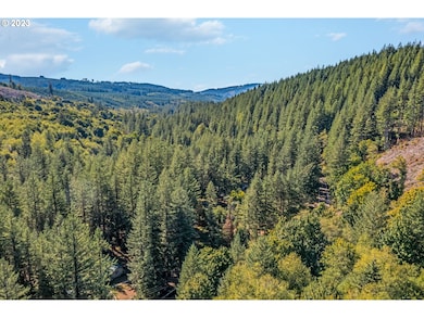 0 NE Sunset Falls Rd unit 23519390, Yacolt, WA 98675 - photo 5