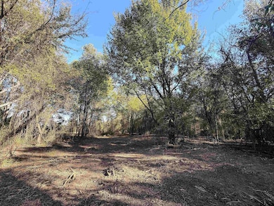 TBD Cr 4316 & 4314, Dekalb, TX 75559 - photo 7