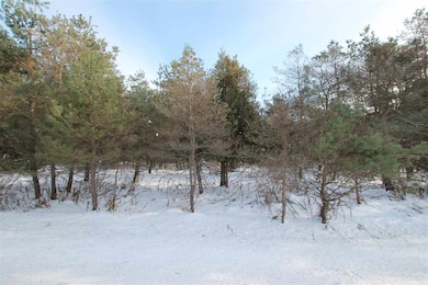 0 Ellsworth Rd unit 478422, Ellsworth, MI 49729 - photo 2