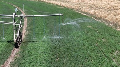 45533 County Rd 38 9, Trinidad, CO 81082 - photo 7