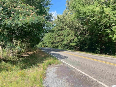 000 State Route 520 unit est 52 acres, Homer, LA 71040 - photo 4