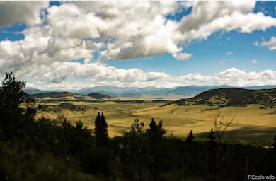 24870 Us Highway 285, Fairplay, CO 80440 - photo 3