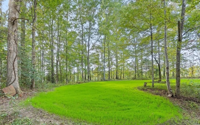 2907 Mowbray Pike, Soddy Daisy, TN 37379 - photo 5